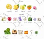 نت بویایی زن شیسیدو