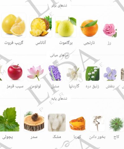 نت بویایی زن شیسیدو