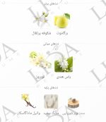 نت بویایی مای وی