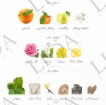 عطر گرمی کوکو شنل - تصویر 2