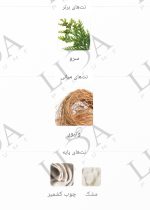 نت بویایی لالیک بلک