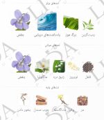 نت بویایی هالووین زنانه