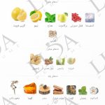 نت بویایی بلو شنل