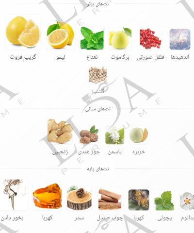 نت بویایی بلو شنل
