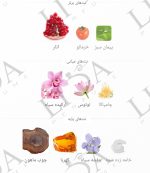 نت بویایی ایفوریا زنانه