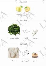 نت بویایی مگاماره ارتوپاریسی