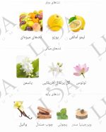 نت بویایی دونا تروساردی