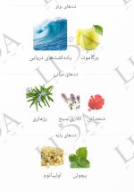 نت بویایی آکوا دی جیو بلک