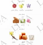 نت بویایی کازاموراتی لیرا