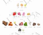 نت بویایی لانویت ترزور