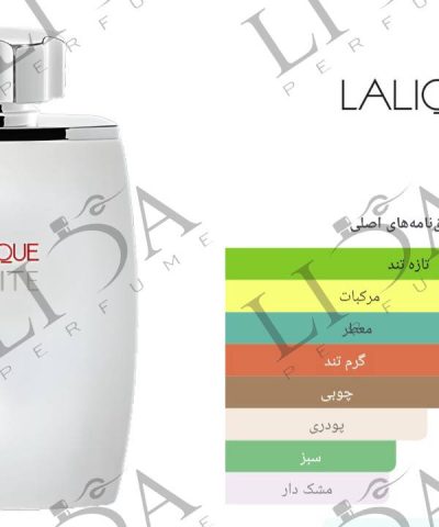 نت بویایی لالیک سفید