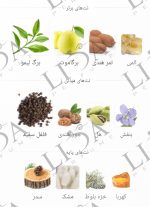 نت بویایی لالیک سفید