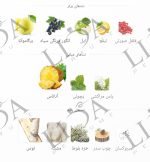نت بویایی کرید اونتوس