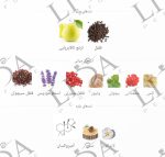 نت بویایی ساواج دیور
