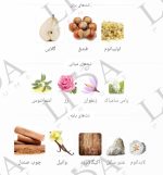 نت بویایی آمواج گایدنس