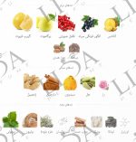 نت بویایی کرید اونتوس ابسولو