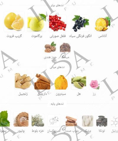 نت بویایی کرید اونتوس ابسولو
