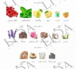 نت بویایی کرید وایکینگ