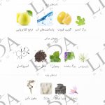 نت بویایی ورساچ دیلان بلو