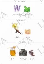 نت بویایی ژان پل گوتیه له میل الکسیر