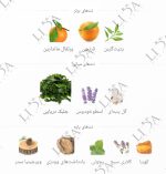 نت بویایی آکوا بولگاری پورهوم