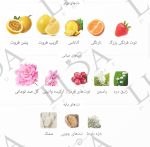 نت بویایی ویکتوریا سکرت بامب شل