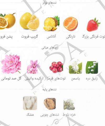 نت بویایی ویکتوریا سکرت بامب شل