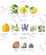 عطر گرمی گرلن له فرنچی