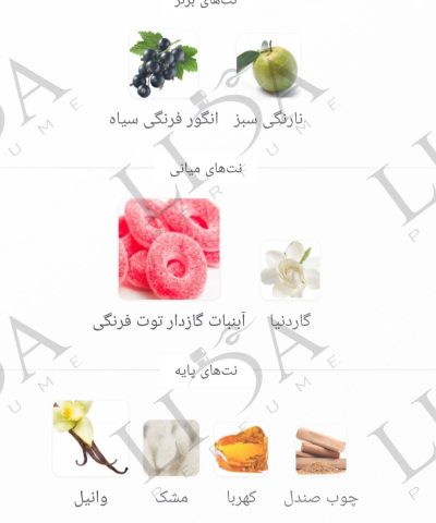 عطر گرمی یارا کندی