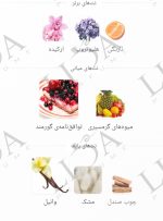 نت بویایی یارا لطافه صورتی