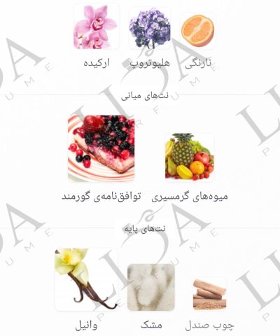 نت بویایی یارا لطافه صورتی