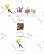 عطر گرمی باربری گادس
