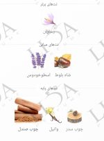 نت بویایی استرانگر ویت یو صندل وود