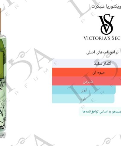 نت بویایی تمپتینگ پیر جاسمین ویکتوریا سکرت 