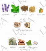 نت بویایی نت بویایی عطر کارتیر پاشا