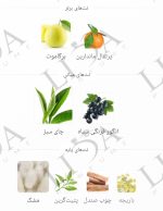 نت بویایی کرید سیلور مونتین