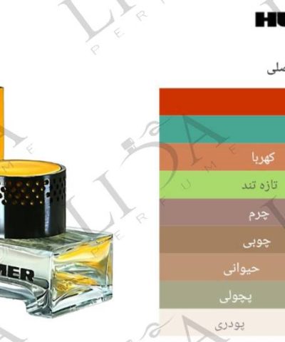 نت بویایی هامر