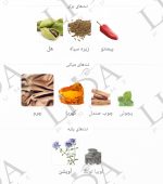 نت بویایی هامر