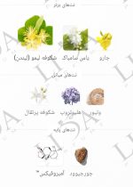 نت بویایی عطر تیلیا مارک آنتوان باروا