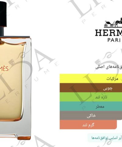 نت بویایی تق هرمس