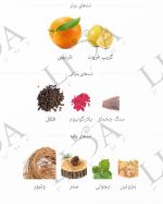 نت بویایی تر د هرمس