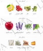 نت بویایی هالووین راک من