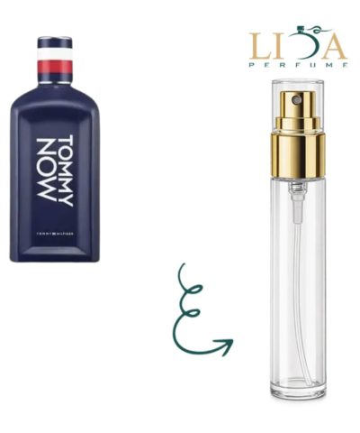 عطر گرمی تامی ناو