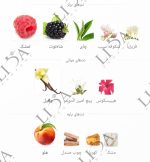نت بویایی تیلور سوئیفت