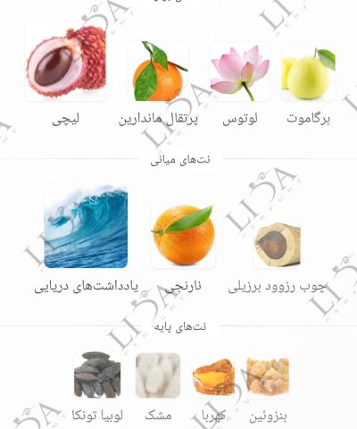 رایحه عطر گرمی دانهیل دیزایر بلو